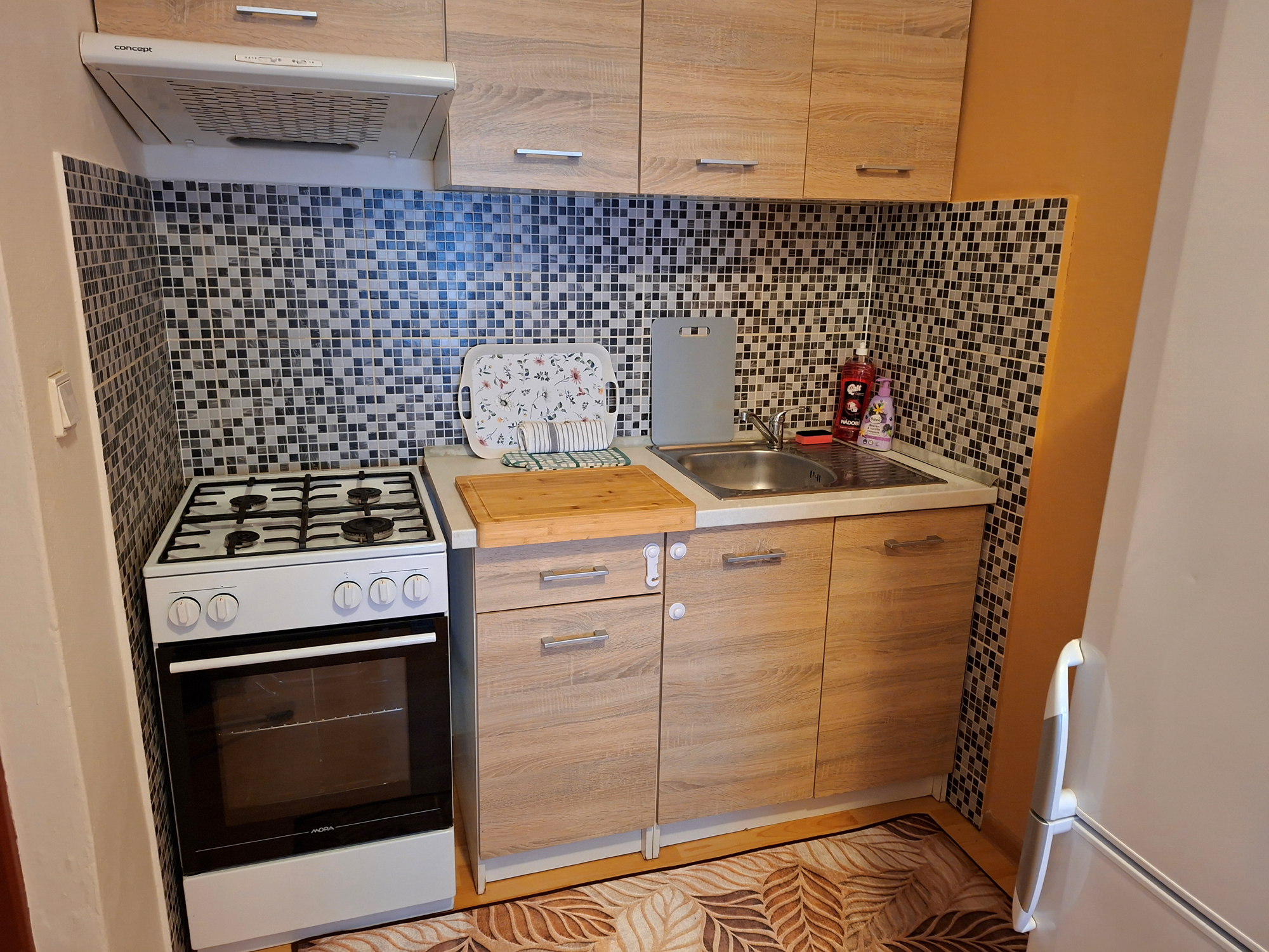 Apartmán v přízemí – Kuchyň, pohled 2